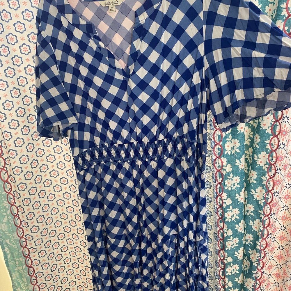 The Pioneer Woman Blue and Pink Checkered dress xl